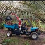 Open Cab Tractor for Palm Oil Plantations with PTO Speed 240-1340rpm and Agricultural Tire for sale