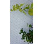 Smooth Surface Stainless Steel 316 Wire Rope Mesh For Plant climbing