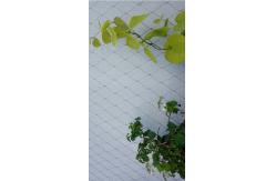 China Smooth Surface Stainless Steel 316 Wire Rope Mesh For Plant climbing supplier