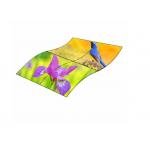 Ultra Thin Flexible OLED Display , Display OLED 128x64 Lightweight for sale