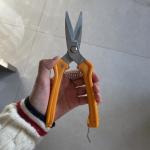 Sharp Multifunction Orange Handle Scissors For Various Cutting Tasks for sale