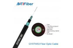 China GYXTW53 G652D SM 24 48 Core Armoured Fiber Cable supplier