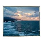 19.0 Inch R190E6-L01 LCD Display Screen For Medical Imaging for sale