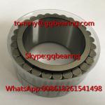 Gcr15 Steel Material F-213617.RNN Double Row Cylindrical Roller Bearing without Cage for sale