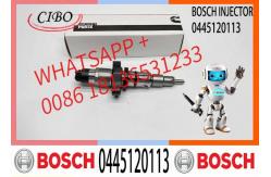 China High Quality Diesel Fuel Injector 0445120255, 044512010, 0445120113 supplier