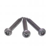 304 201 Stainless Steel Pin Head Torx Self Drilling Screws Tamper Resistant for sale