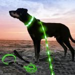 Ready To Ship: Lighting Pets Nylon Chains Sets Small Size USB Chargering Dog Leashes And Dog Collars for sale
