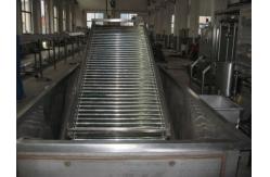 China Full Automatic Fruit Processing Equipment Surfing Bubble Washing Machine supplier