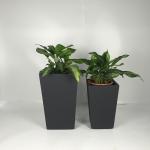 Hand Carved Design Fiber Clay Planter Modern Style Waterproof And Fireproof Durable