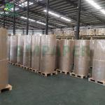 Jumbo Roll High Bulk 65gsm 90um Thermal Paper For Logistics Label 600mm for sale