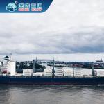 Sea International Freight Forwarder China To Spain Italy France UK for sale