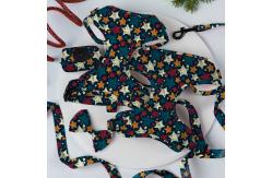 China Comfortable Yellow Leash Collar Harness Set Neoprene Puppy Collar And Lead Set supplier
