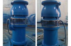 China OEM 500m3/H 12m Water Submersible Pump Axial Flow SS304 Impeller supplier