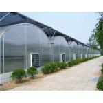 Arched Roof Tomato Plant Greenhouse Span Width 9.6 / 10.8 / 12m Rainfall 140mm/H for sale
