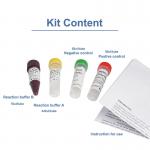 PCR Kit Monkeypox Virus Detection Kit Laboratory Rapid Test Kit for sale