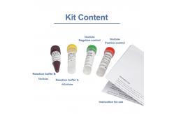 China Monkeypox Detection Kit Monkeypox PCR Kit Monkeypox Rapid Virus Detection Kit supplier