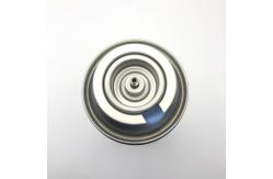 China 227g Butane Gas Canister Ideal for Professional Applications supplier