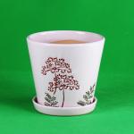 Modern Ceramic Pots Easy Maintenance and Simple Design for Your Home Decoration for sale