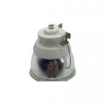 ELPLP95 Epson Projector Bulbs