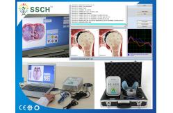 China Professional Silver NLS 8D LRIS Quantum Therapy Analyzer 64 bit Latest Version supplier