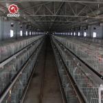 Silver Baby Chick Modern Hen Cage With Full Automatic System for sale