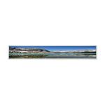 AUO LCD Screen Panel P420IVN03.0 42.0 inch 1920(RGB)×480 tft lcd display module for sale