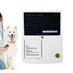 Veterinary 12 Lead Ekg Electrocardiogram Ecg Machine 3 Channel Printer PC Software