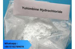 China Sex Enhancement Yohimbine Hydrochloride CAS 65-19-0 Yohimbine HCL Raw Powder Safe And Effective supplier