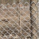 15m 30m 50m Roll Galvanized Chain Link Fence Cyclone Wire Diamond Mesh Farm