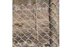 China 15m 30m 50m Roll Galvanized Chain Link Fence Cyclone Wire Diamond Mesh Farm supplier