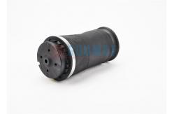 China Mercedes Air Suspension R-CLASS W251 A2513200425 A2513200325 A2513200025 Air Spring  Bag Rear supplier