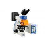 Professional Trinocular Upright Fluorescence Microscope 100W Mercury Lamp