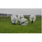 transparent Hamster Buddy Bumper Ball for rental for sale