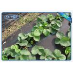Biodegradable Agricultural Non Woven Cover 100 % Virgin PP Non Woven Film for sale