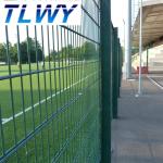 6/5/6mm Double Wire Welded Mesh Fence Powder Coated 50*150mm for sale