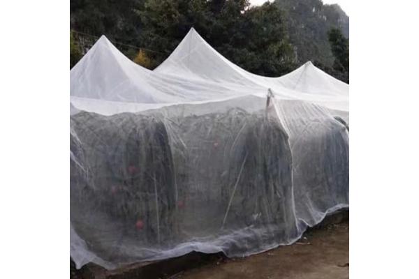 40 Mesh Plastic Insect Screen  For Vegetables And Fruits  