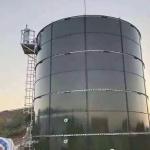 Anaerobic Digester Equipment CSTR Digester With Heat Exchanger for sale