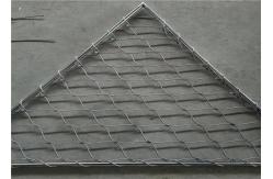 China 316L SS Wire Rope Mesh Zoo Bird Animal Safety Protect Mesh supplier