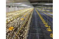 China 150m Grow Room Environment Controller supplier