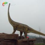 18M Large Fiberglass Dinosaur Resin Mamenchisaurus Model  Weather Resistance for sale