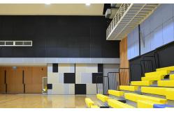 China Ceiling Tile RAL7021 Black PVDF Microperforated Aluminium Composite Soundproofing Panels supplier