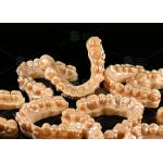Customizable Invisible Aligner Clear Aligner With Shorter Treatment Time