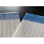 High Filtration Accuracy Low Air Permeability Polyester Mesh Belt for sale