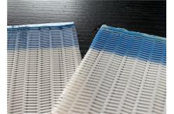 China High Filtration Accuracy Low Air Permeability Polyester Mesh Belt supplier