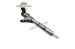 China Fuel Injector 0445110752 0445110748 0445110734 0445110735 For Bosch 110 Series supplier