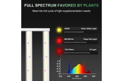China 800W Commercial Indoor Plants Indoor Garden Grow Lights Vertical Racks Greenhouse supplier