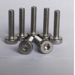 ISO14580 GB2671.1 SS304 Hexagon Socket Bolt Torx Cheese Head Screws for sale