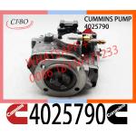 Diesel Engine Parts For Cummins KTA19-M3 PTG Fuel Pump E489A05 4025790