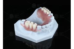 China Lightweight Valplast Flexible Partial With Excellent Retention In Pink And Meharry supplier