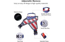China Padded L Mesh Nylon Reflective Pet Harness supplier